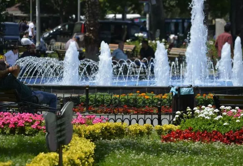 Fotos del hotel Ekol:  11