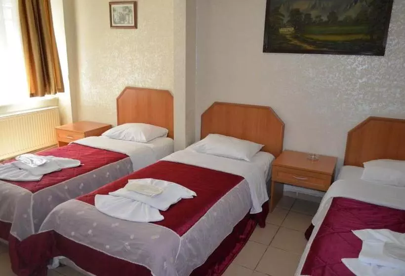 Fotos del hotel Ekol:  21