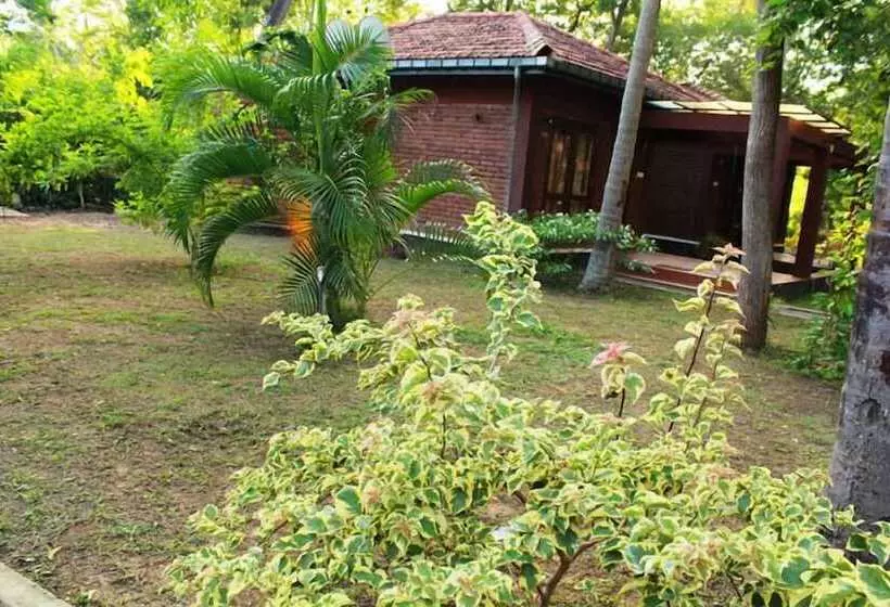 Fotos del hotel Neem Villas:  8