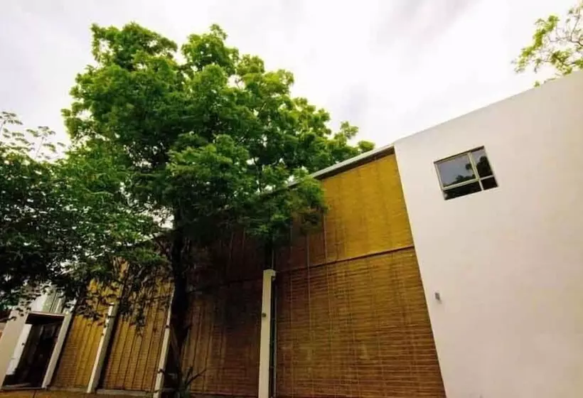 Fotos del hotel Neem Villas:  12