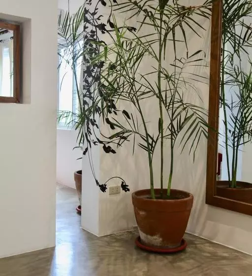 Fotos del hotel Capital O 468 Element Boutique:  3