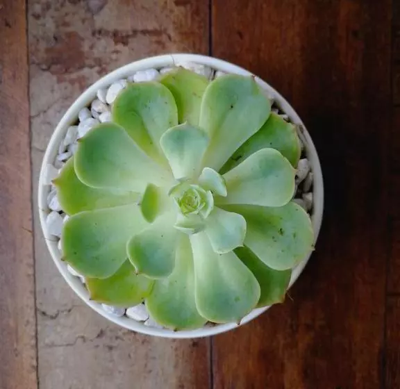 Fotos del hotel Capital O 468 Element Boutique:  13