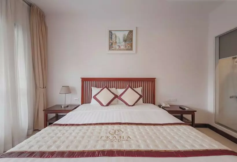 Fotos del hotel Praha:  17