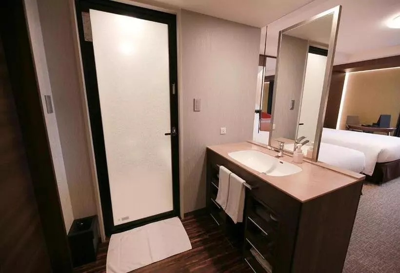 Fotos del hotel Richmond  Premier Tokyo Oshiage:  6