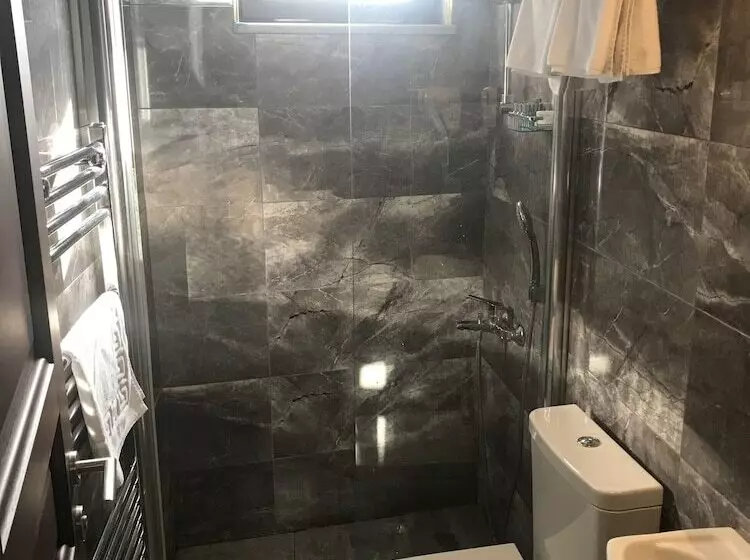 Fotos del hotel Cordis:  4