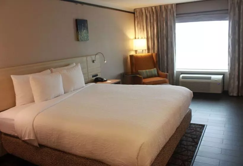 Hilton Garden Inn Houston Cypress Station