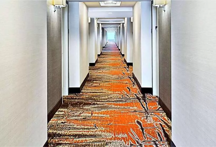 Fotos del hotel Hilton Garden Inn Houston Cypress Station:  24