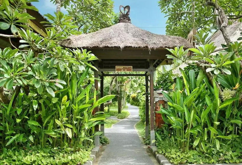 Fotos del hotel Legian Express:  25