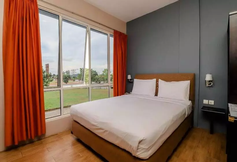 Fotos del hotel Blitz:  23