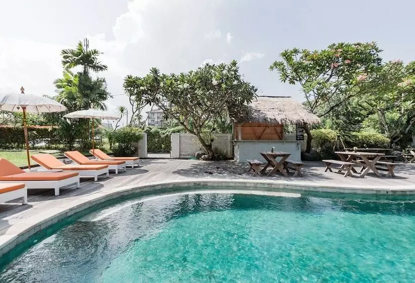 Fotos del hotel Casa Artista By Villa Kresna:  13