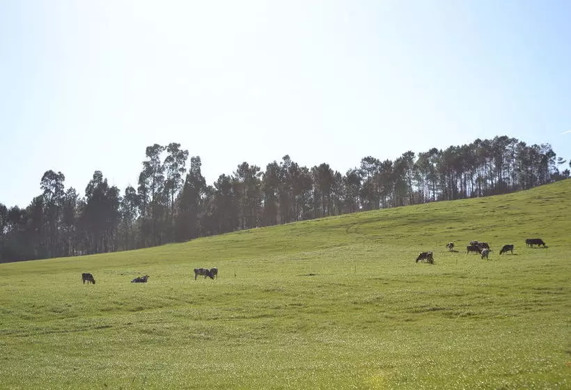 Fotos del hotel Vila Peregrina:  6