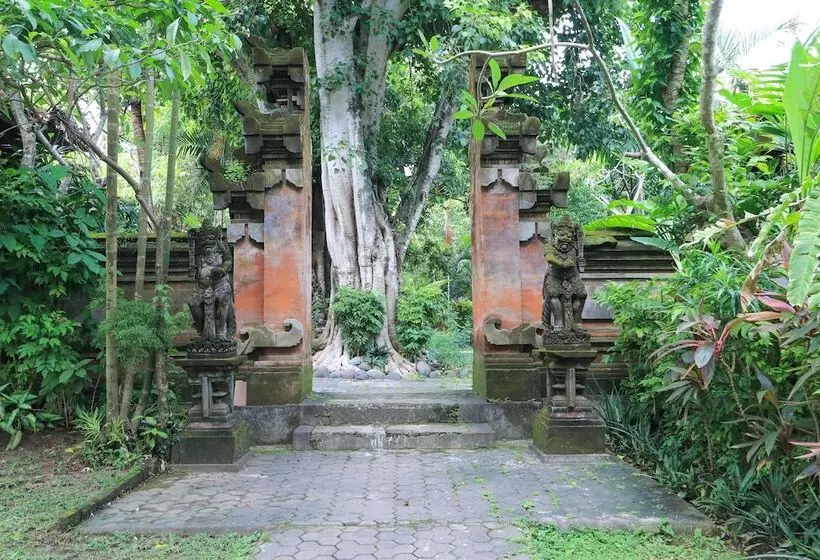 Fotos del hotel Three Brothers Bungalows & Villas:  10