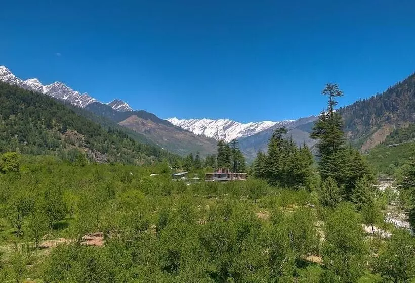 Fotos del hotel Treebo Trend Celebriti Manali:  8