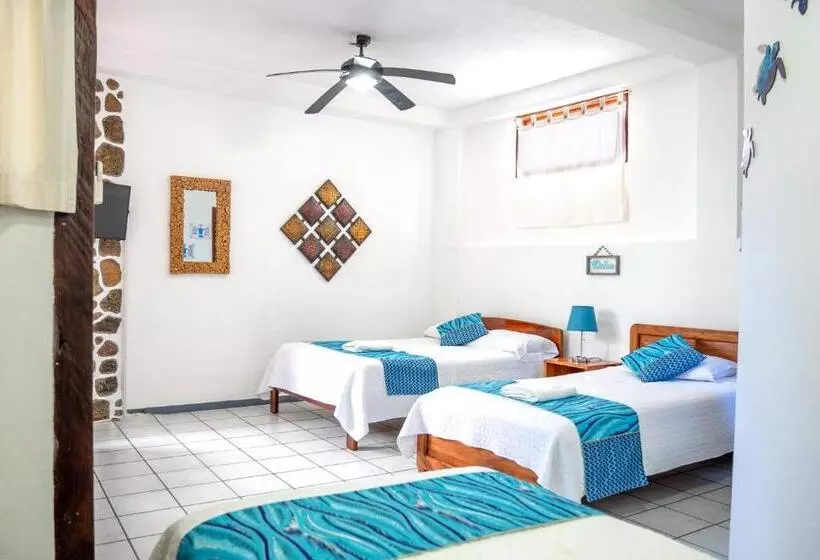 Fotos del hotel Maidith White Cove:  17