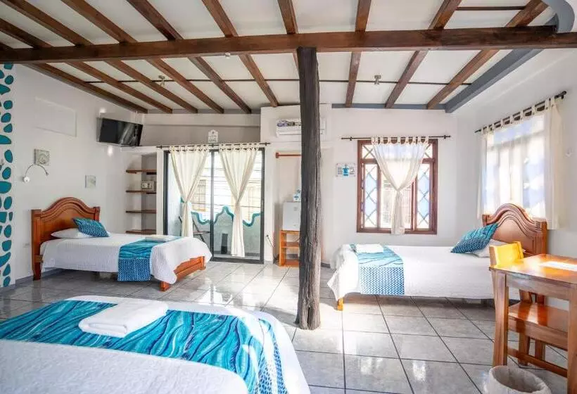 Fotos del hotel Maidith White Cove:  21