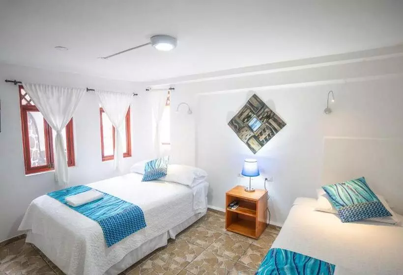 Fotos del hotel Maidith White Cove:  8