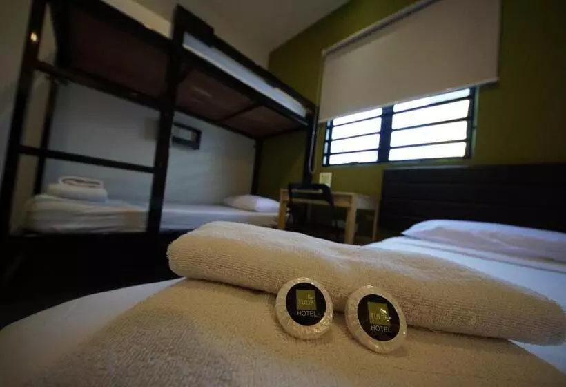 Fotos del hotel Tulip:  22