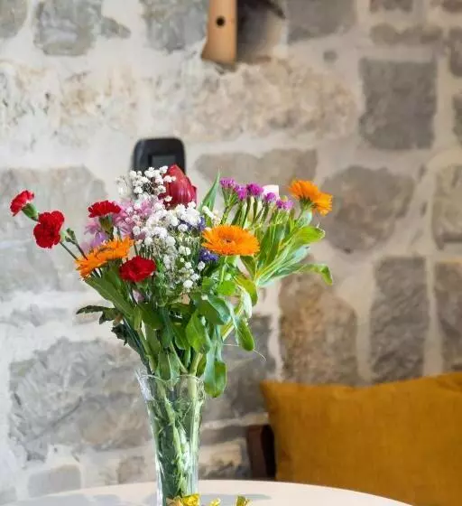 Fotos del hotel Captain S Guest House:  13