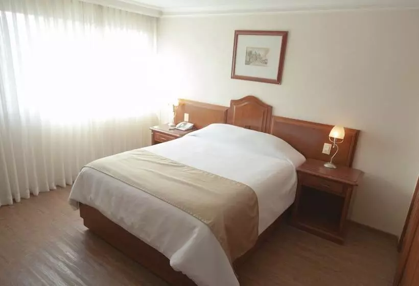 Fotos del hotel Hotel Polanco:  10
