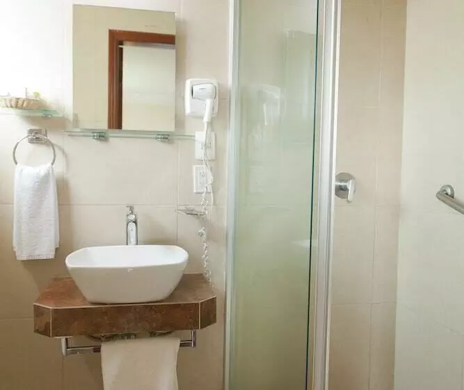 Fotos del hotel Hotel Polanco:  6