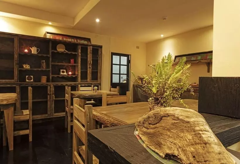 Fotos del hotel Newen B&b:  16