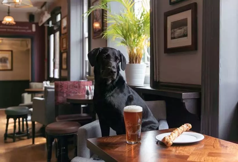 Fotos del hotel Rose And Crown:  17