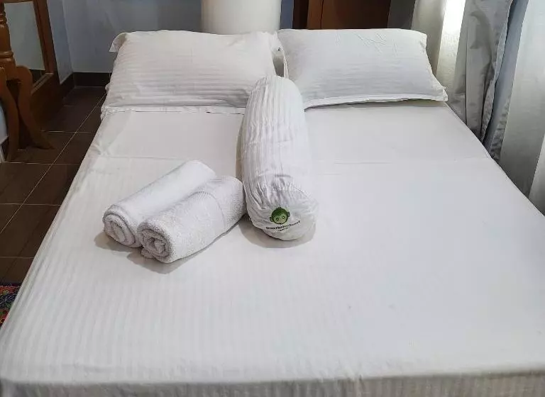 Fotos del hotel Green Monkey Resort Boracay:  21