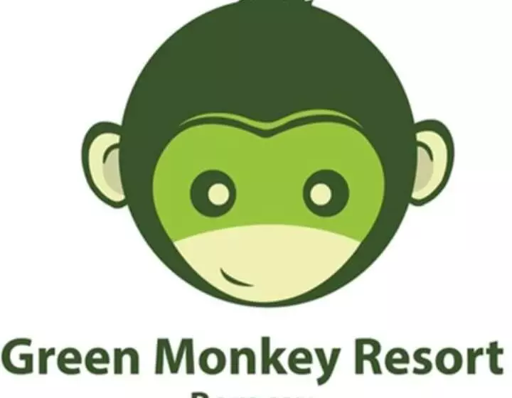 Fotos del hotel Green Monkey Resort Boracay:  16