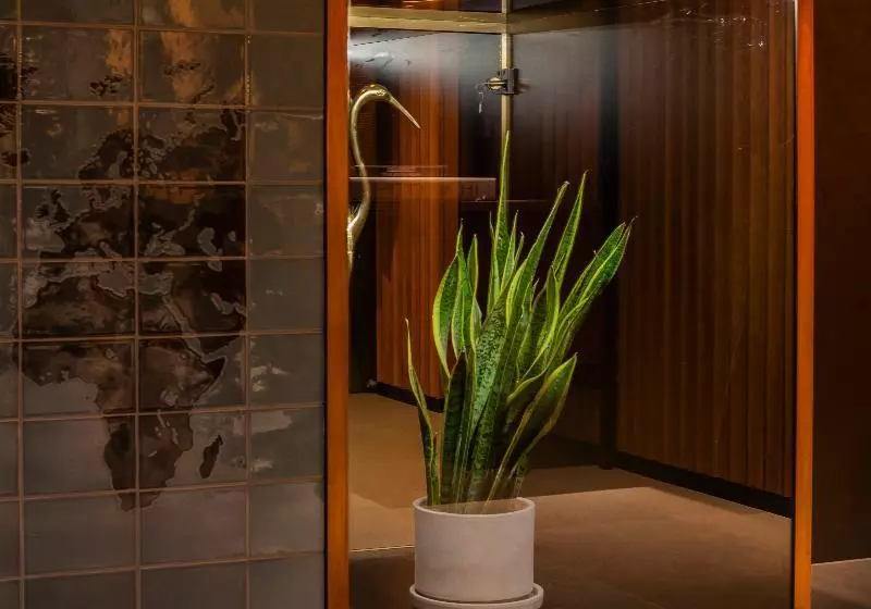 Fotos del hotel V Fizeaustraat:  11
