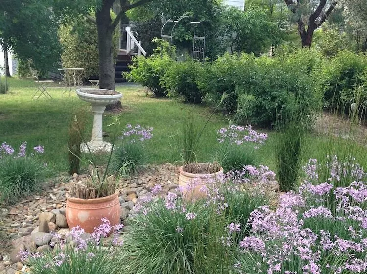 Fotos del hotel Yarra Glen Bed & Breakfast:  15