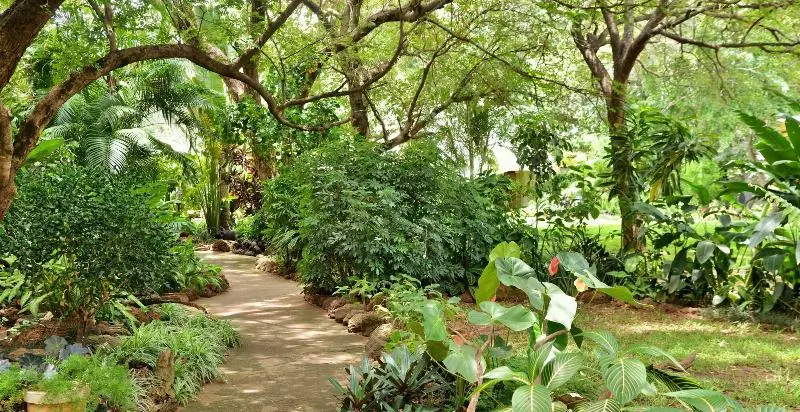 Fotos del hotel Bayete Guest Lodge:  17