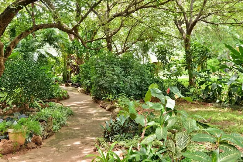 Fotos del hotel Bayete Guest Lodge:  19
