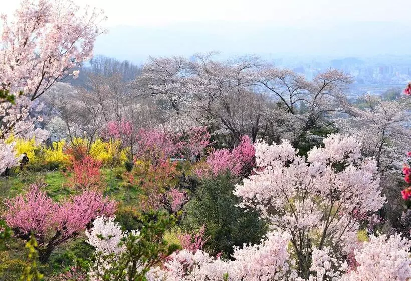 Fotos del hotel Toyoko Inn Fukushima-eki Higashi-guchi 2:  6
