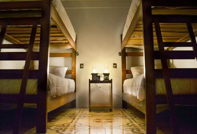 Fotos del hotel Eco Machu Picchu Pueblo:  18
