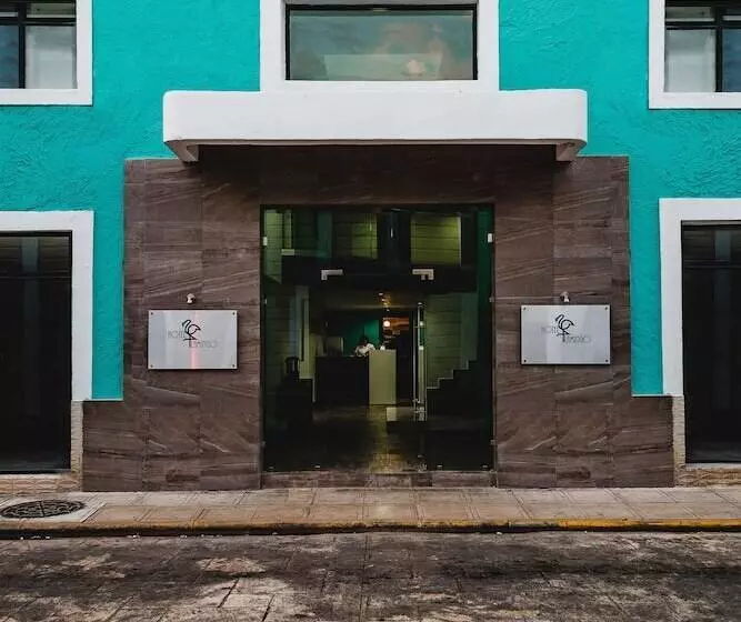 Fotos del hotel Flamingo Merida:  10