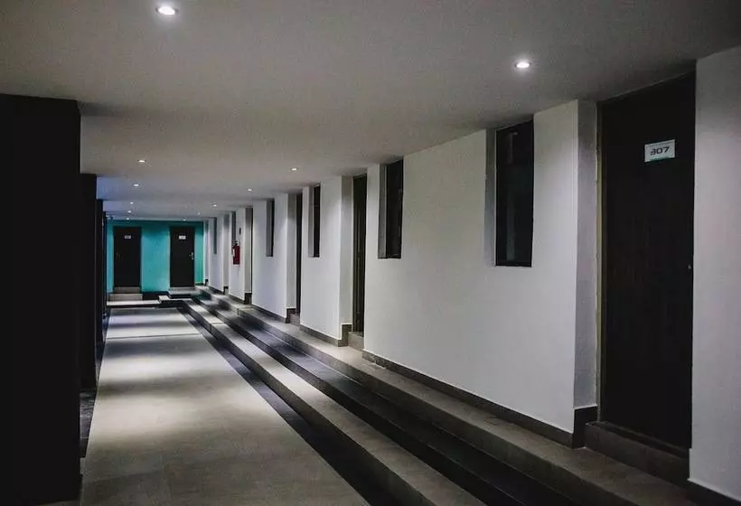 Fotos del hotel Flamingo Merida:  4