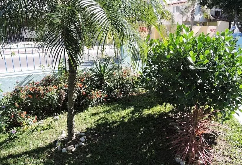Fotos del hotel Dom Fish:  19