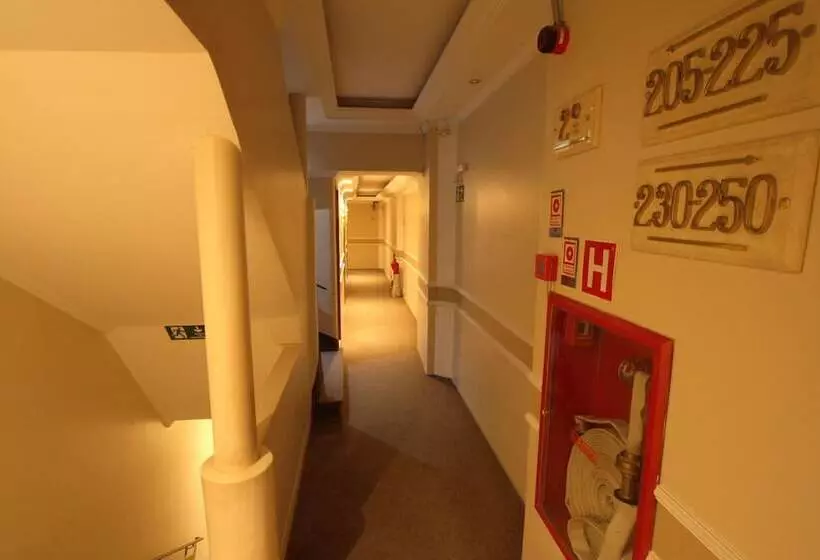 Fotos del hotel Gran Chevalier:  7