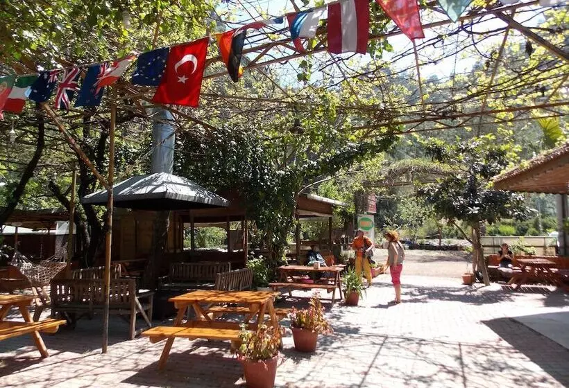 Fotos del hotel Olympos Orange:  3