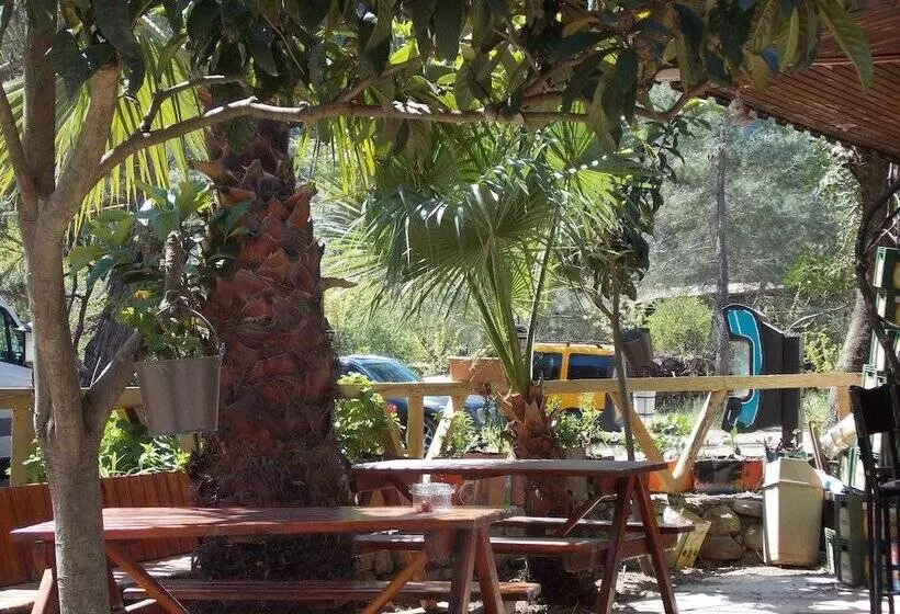 Fotos del hotel Olympos Orange:  8