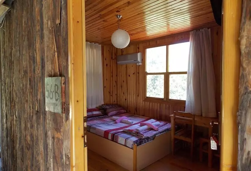 Olympos Orange