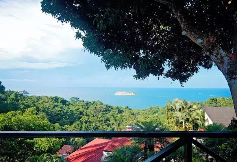 Fotos del hotel Gay Villa Roca:  5