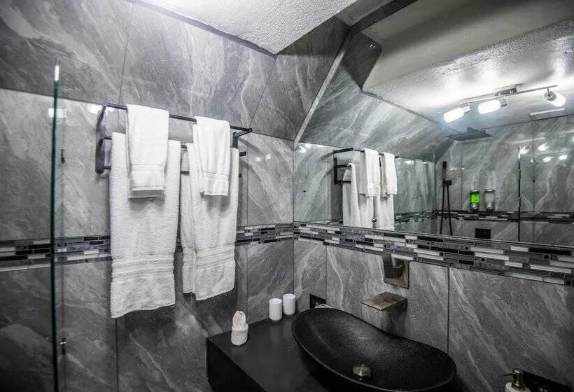 Fotos del hotel Gay Villa Roca:  23
