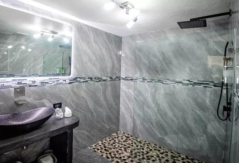 Fotos del hotel Gay Villa Roca:  25