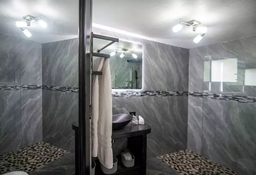 Fotos del hotel Gay Villa Roca:  17