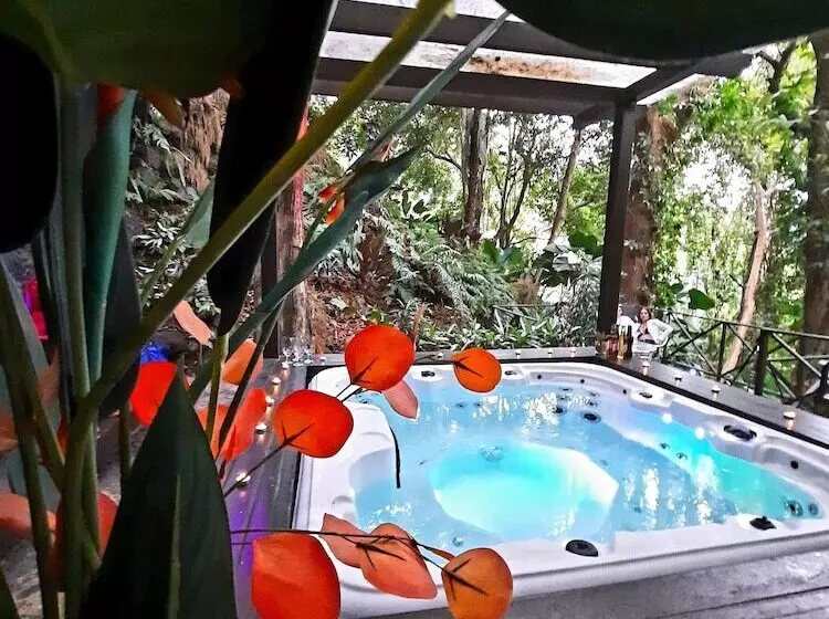 Fotos del hotel Gay Villa Roca:  6