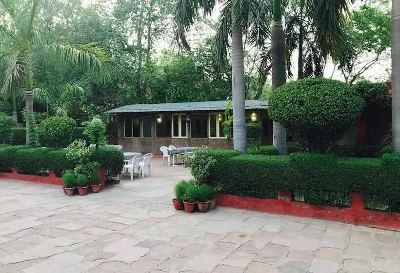 Fotos del hotel Sheela:  17