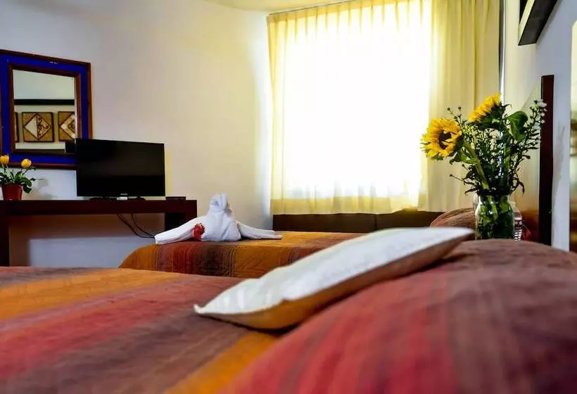 Fotos del hotel Los Girasoles:  15