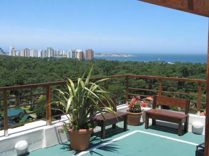 Fotos del hotel Club Sol Del Este Ii:  9