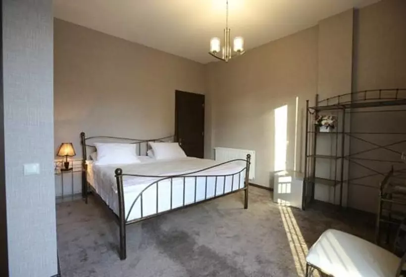 Fotos del hotel Golden Nugget Tbilisi:  20